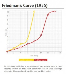 Friedmans-curve-268x300