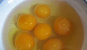 fetilized eggs